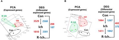 Dual-Organ Transcriptomic Analysis of Rainbow Trout Infected With Ichthyophthirius multifiliis Through Co-Expression and Machine Learning